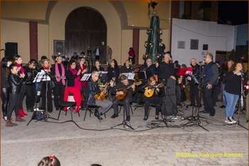 El Ejido vive la Navidad con belén y música (Foto Ildefonso Rodríguez)